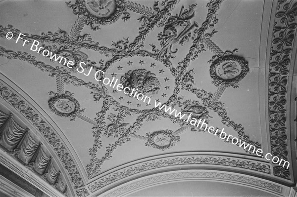 CEILING OF SMALL DRAWING ROOM